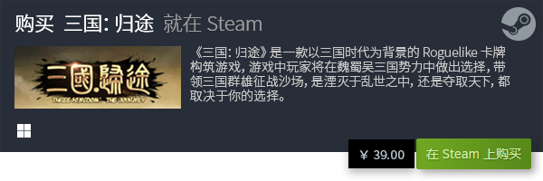 佳Steam卡牌游戏体验PP电子策略与乐趣：最(图13)